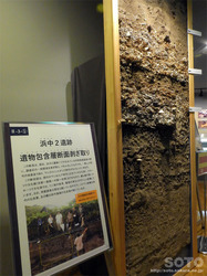 當yفi09j
