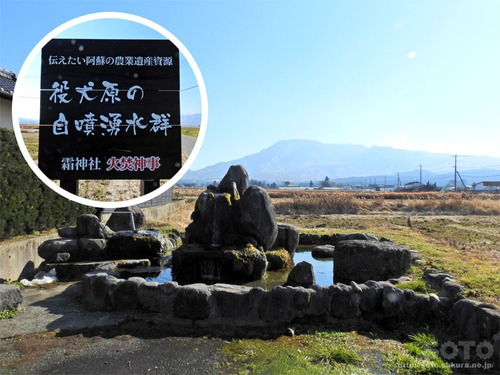 阿蘇やくいん原湧水群(2)
