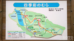 玼iRj