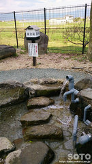 前川水源(水汲み場)