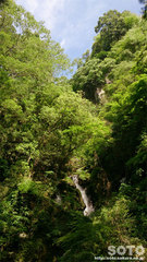 清水瀑園(滝)