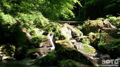 清水瀑園(遊歩道)