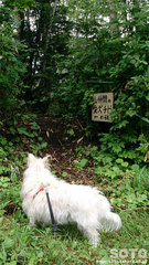 山仲間の愛犬チビの碑 入口