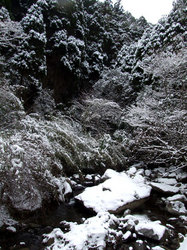 雪景色(3)
