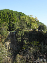 下城の滝(対岸の大イチョウ)