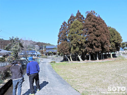 杉井川水源(1)