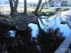 杉井川水源(4)