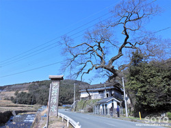 姫井の水天神(1)