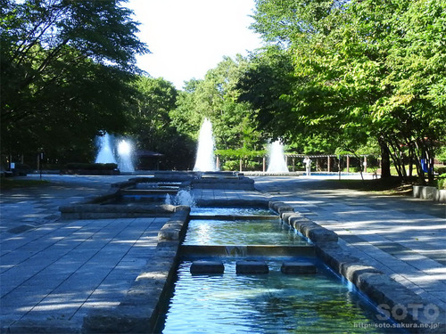神社山 青葉公園(02)