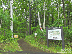 つつじヶ原自然探勝路(03)