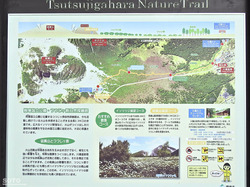 つつじヶ原自然探勝路(04)