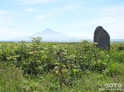lEmniPj