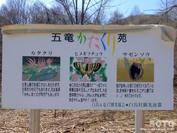 ܗ艑iPj