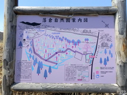 落倉自然園水芭蕉(01)