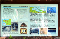 春国岱(小鳥の小道/5)