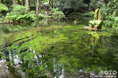 池山水源(水源)