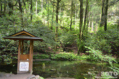 池山水源(水神様)