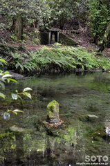 池山水源(水神様)