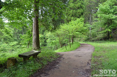 山吹水源(遊歩道)