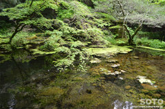 山吹水源(水源)