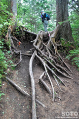 雌阿寒岳(4)