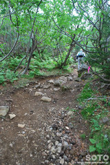 雌阿寒岳(5)
