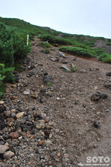 雌阿寒岳(6合目)