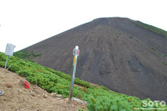 雌阿寒岳(7合目)