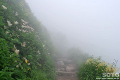 黒岳(6)