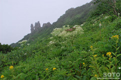 黒岳(11)