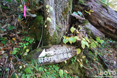滝見台へ(6)