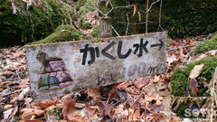 jrNQi^Sj