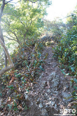 不動岩登山(7000)