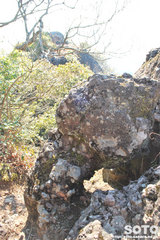 soRi7015j