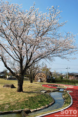 前川水源(公園)