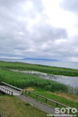 浜勇知(展望)