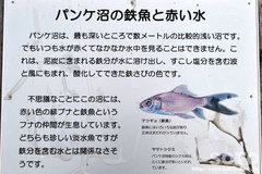 �p���P���i�ē��P�j