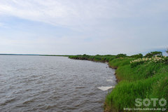 �p���P���i�R�j