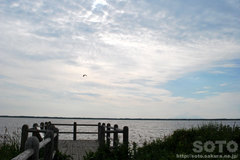 �p���P���i�S�j