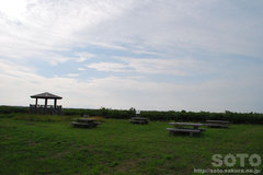 �p���P���i�Q�j