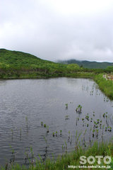 羅臼湖(4の沼)