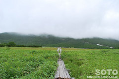 羅臼湖(羅臼湖)