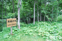 熊越えの滝(入り口)