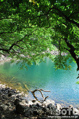 豊似湖(2)