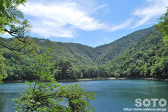 豊似湖(4)