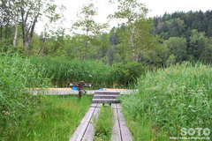 xUHiRj