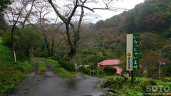 qiPj