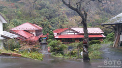 qiQj