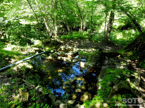 岩尾別(三段の湯)