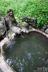 岩尾別温泉(4)